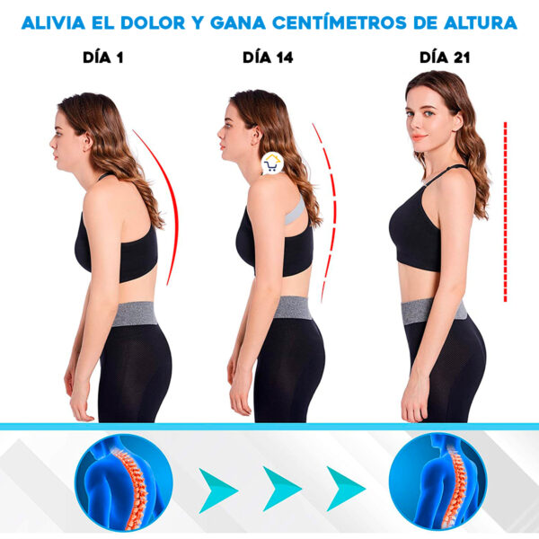 Corrector Postura Inteligente Sensor Vibración Soporte Lumbar Ny68