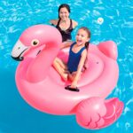 Flotador Flamenco Inflable Piscina Pool