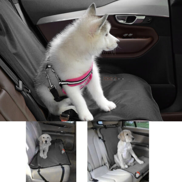 Funda De Asiento Individual De Coche Para Mascotas