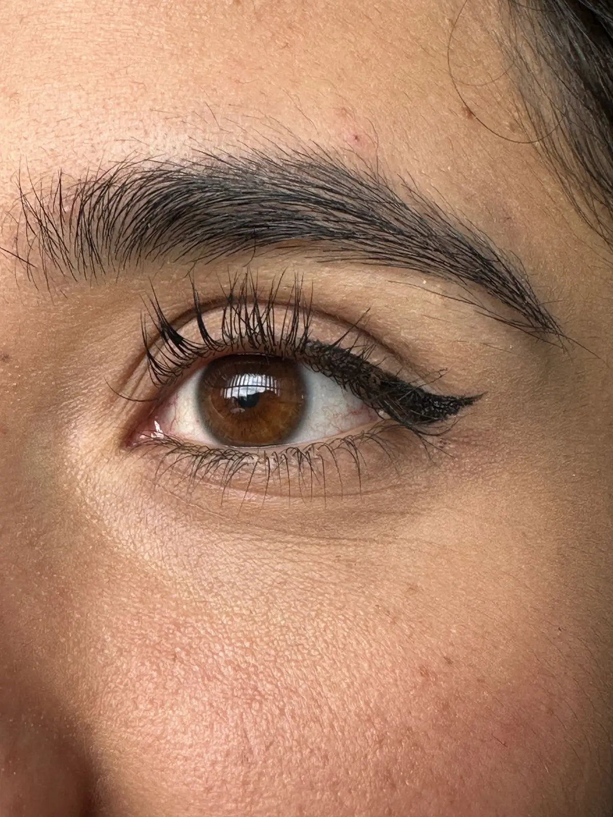 Ojo marrón con delineado cat eye y cejas pobladas, piel con textura visible.