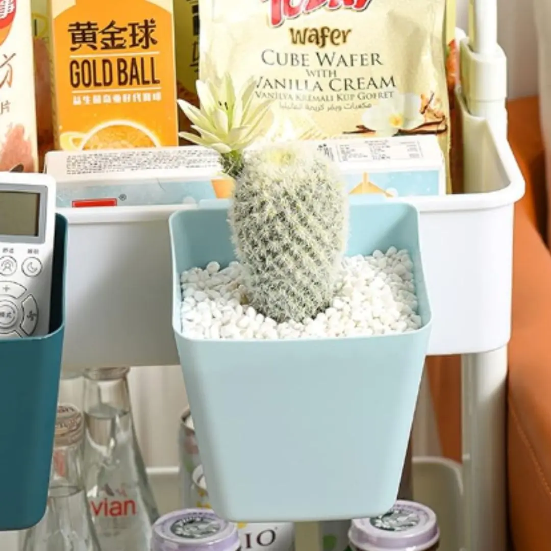 Cactus en maceta azul pastel con detalles blancos, junto a control remoto y productos en estante.