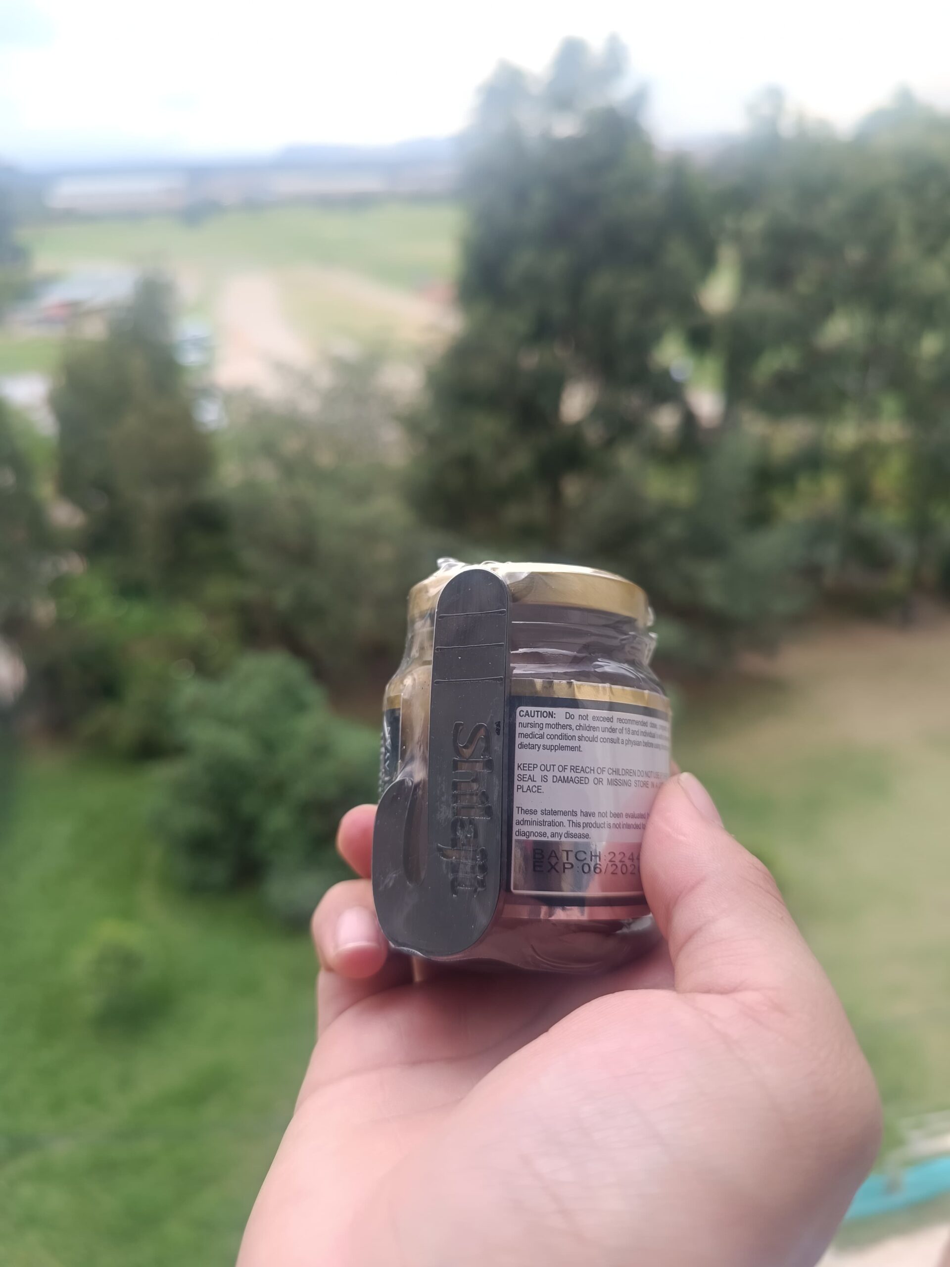 Resina Shilajit del Himalaya en frasco dorado, sellado con etiqueta negra, sostenido en mano con fondo verde.