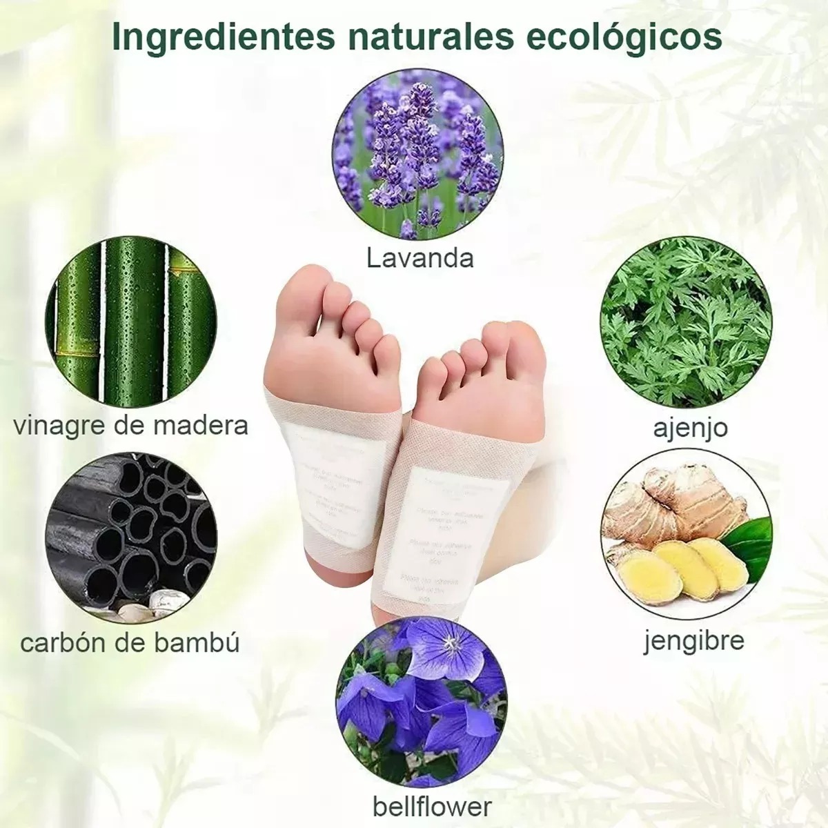 Pies con parches Kinoki, mostrando ingredientes naturales: lavanda, ajenjo, jengibre, bambú y bellflower.