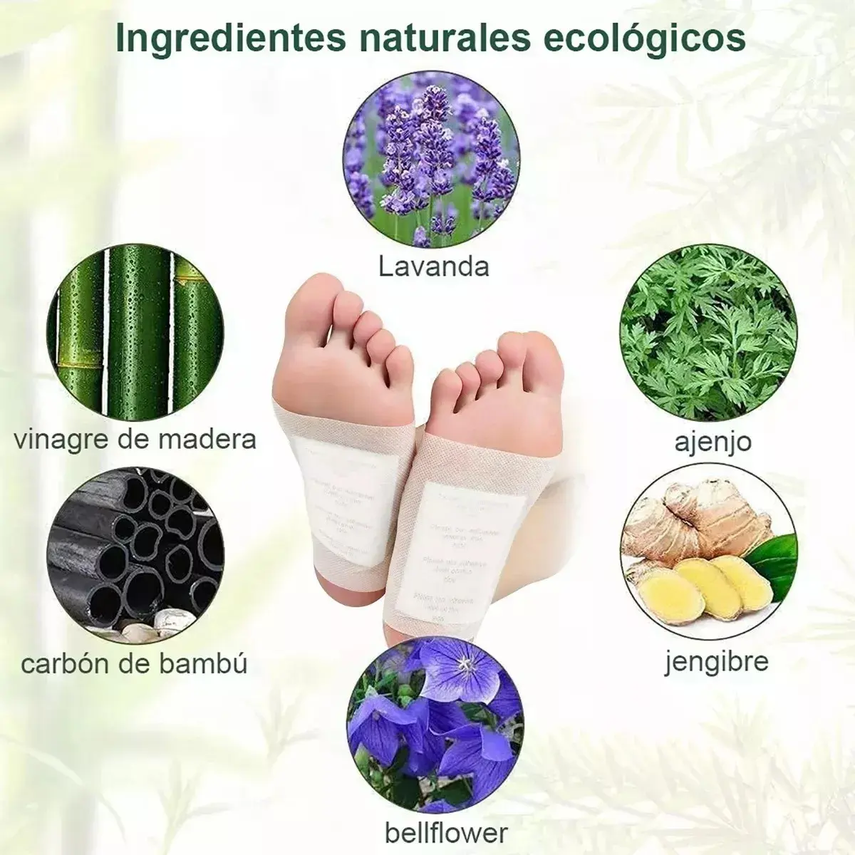 Pies con parches Kinoki, mostrando ingredientes naturales: lavanda, ajenjo, jengibre, bambú y bellflower.