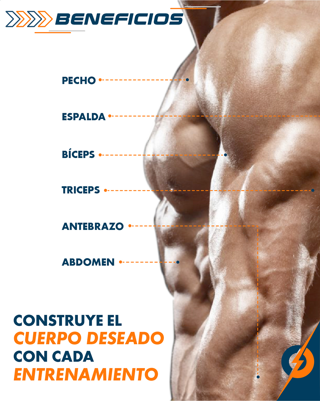 Agarres de polea naranja para entrenamiento de fuerza, mostrando bíceps, tríceps, antebrazo y abdomen.