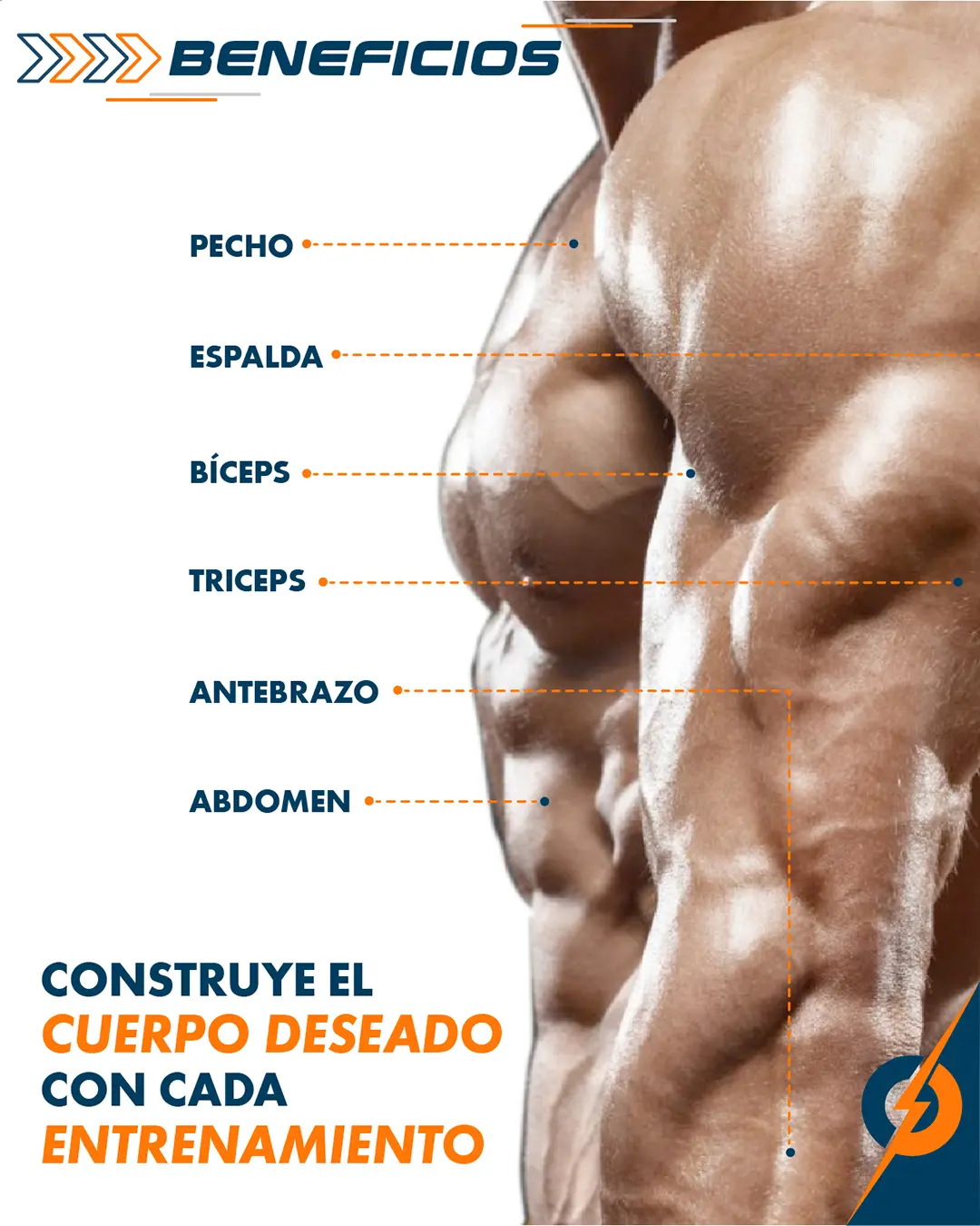 Agarres de polea naranja para entrenamiento de fuerza, mostrando bíceps, tríceps, antebrazo y abdomen.