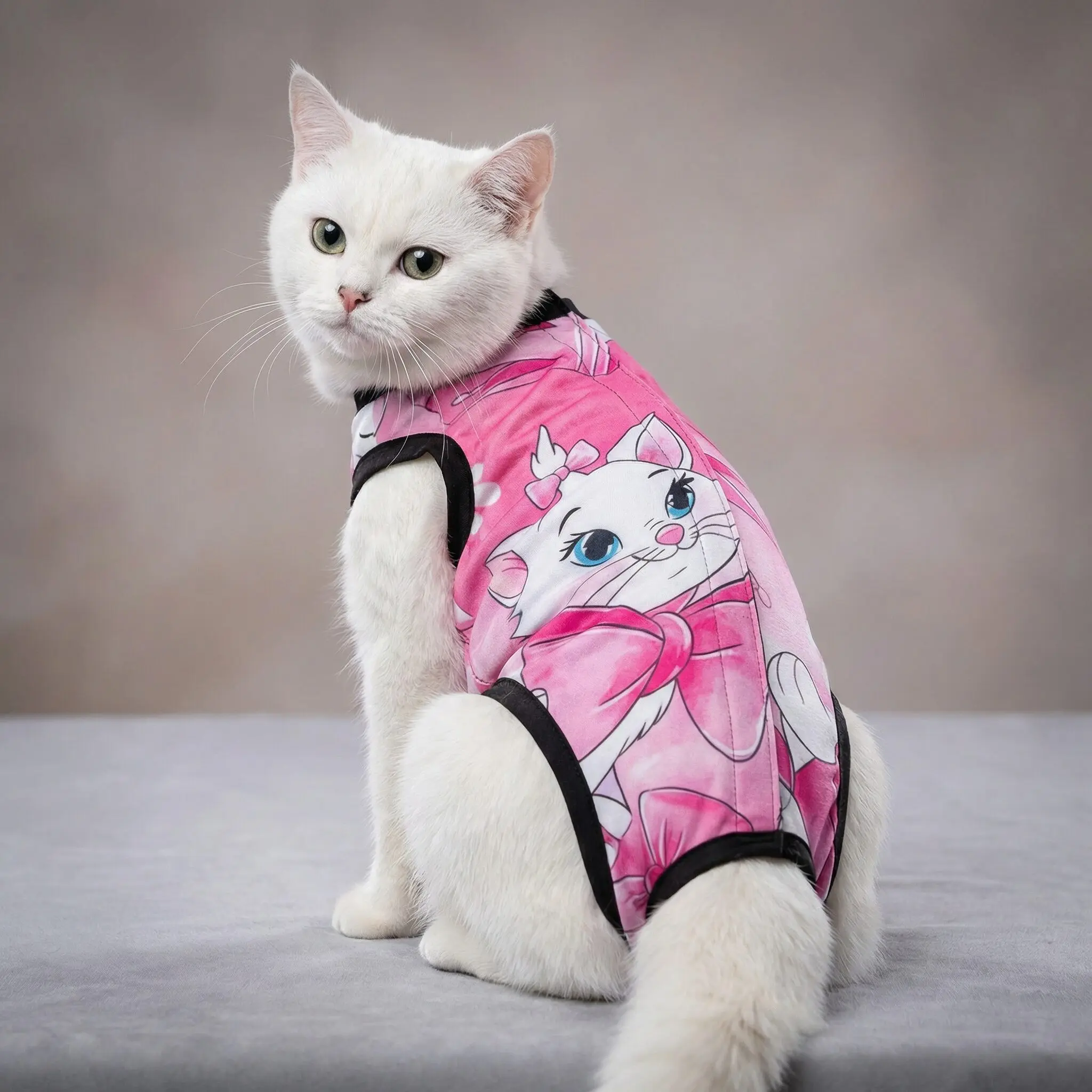 Gato blanco con faja quirúrgica rosa con estampado de gatita Marie, protege heridas.
