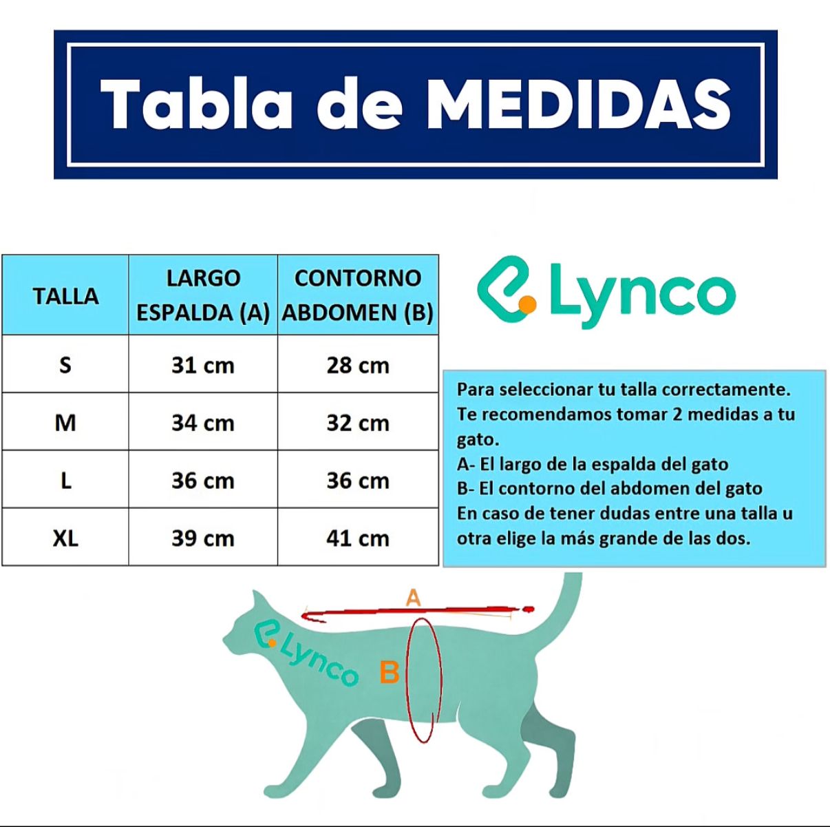 Tabla de medidas para fajas de gato Lynco: Tallas S-XL, largo espalda 31-39 cm, contorno abdomen 28-41 cm.