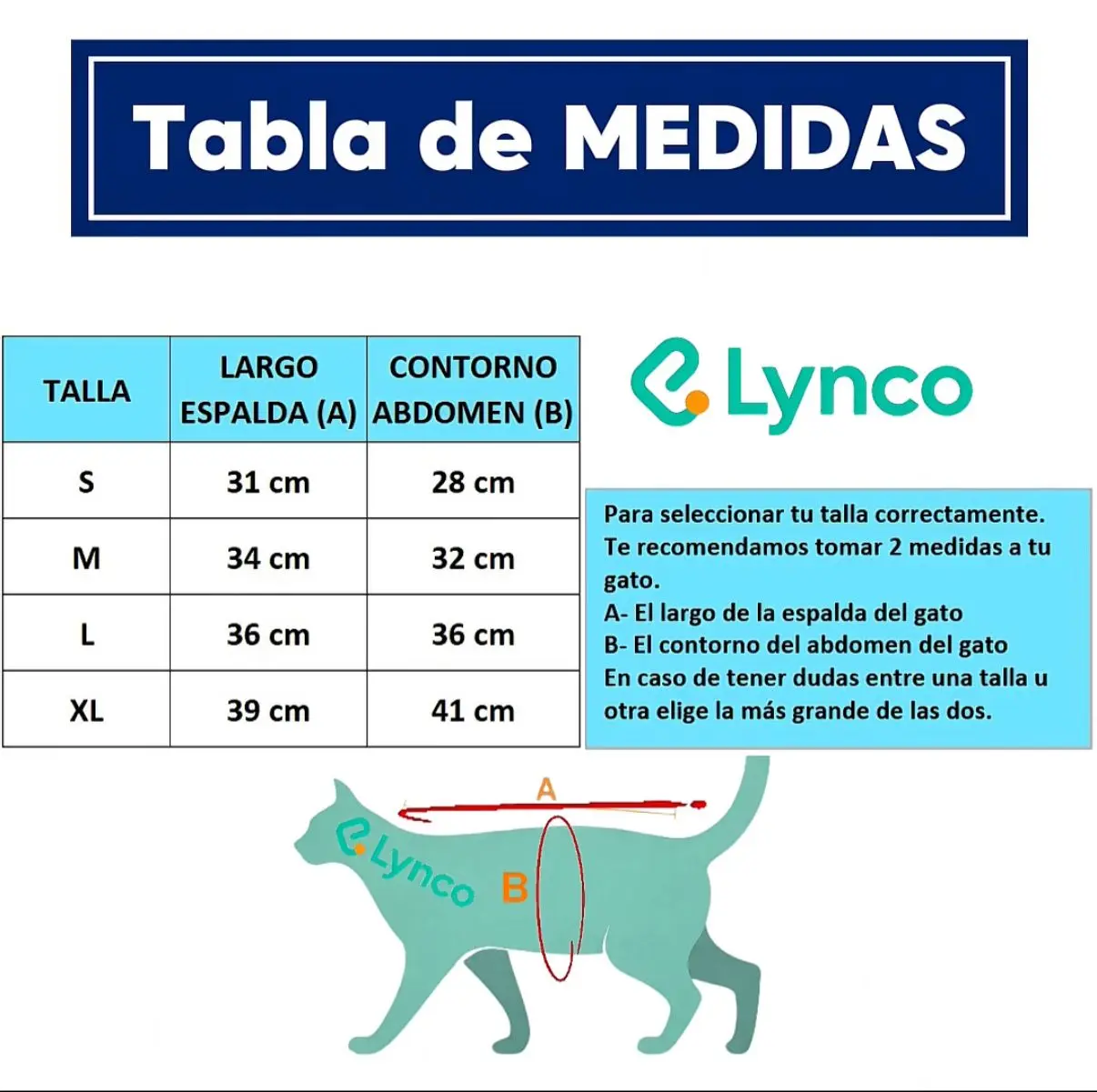 Tabla de medidas para fajas de gato Lynco: Tallas S-XL, largo espalda 31-39 cm, contorno abdomen 28-41 cm.