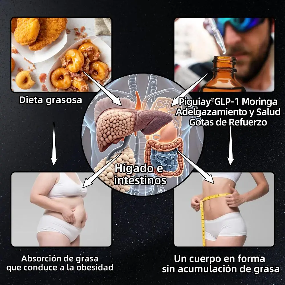 Diagrama explicativo de Piguiay® GLP-1 Gotas Adelgazantes: dieta grasosa, hígado e intestinos, absorción de grasa y cuerpo en forma.