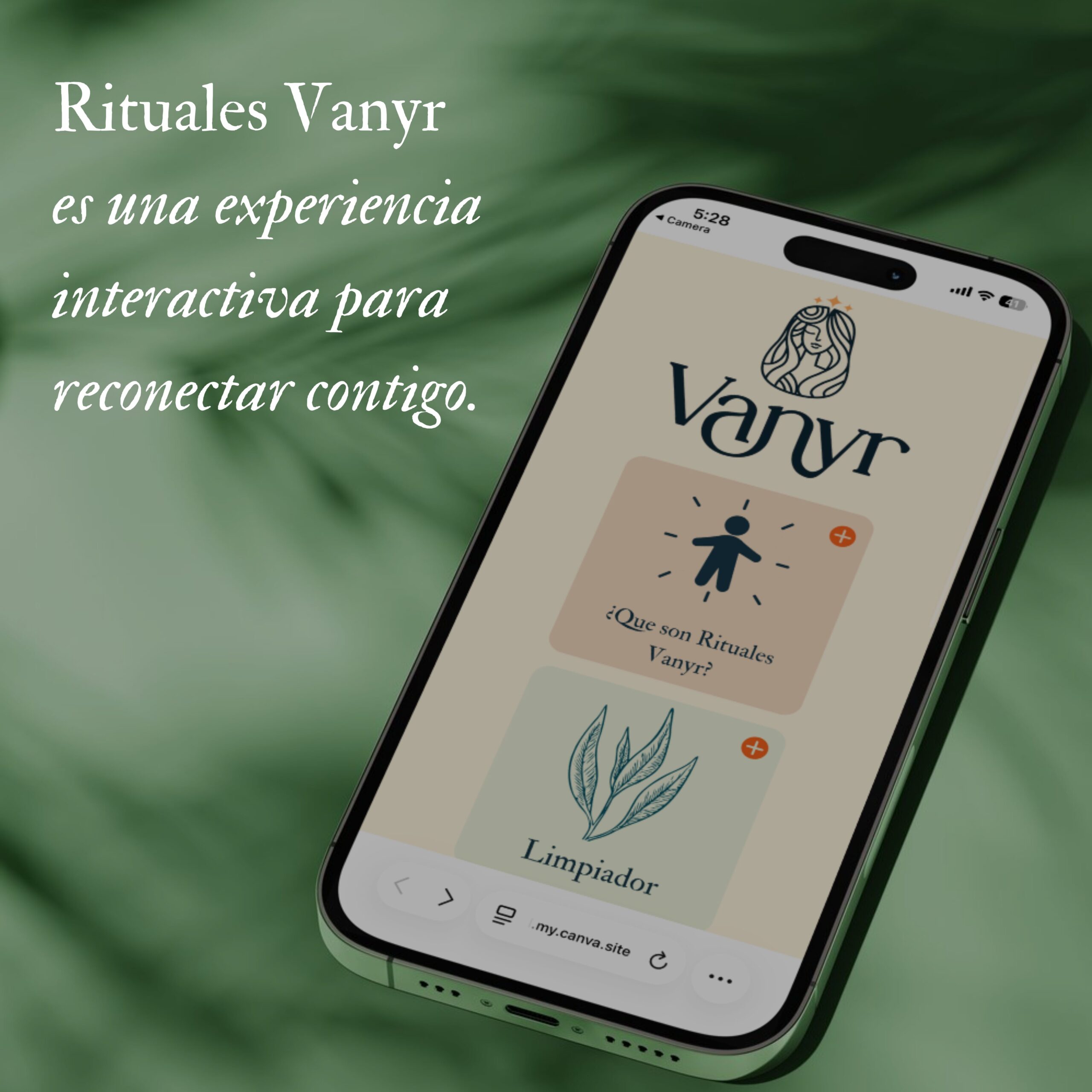 Serum exfoliante Vanyr en pantalla de celular, con logo y texto "Limpiador".